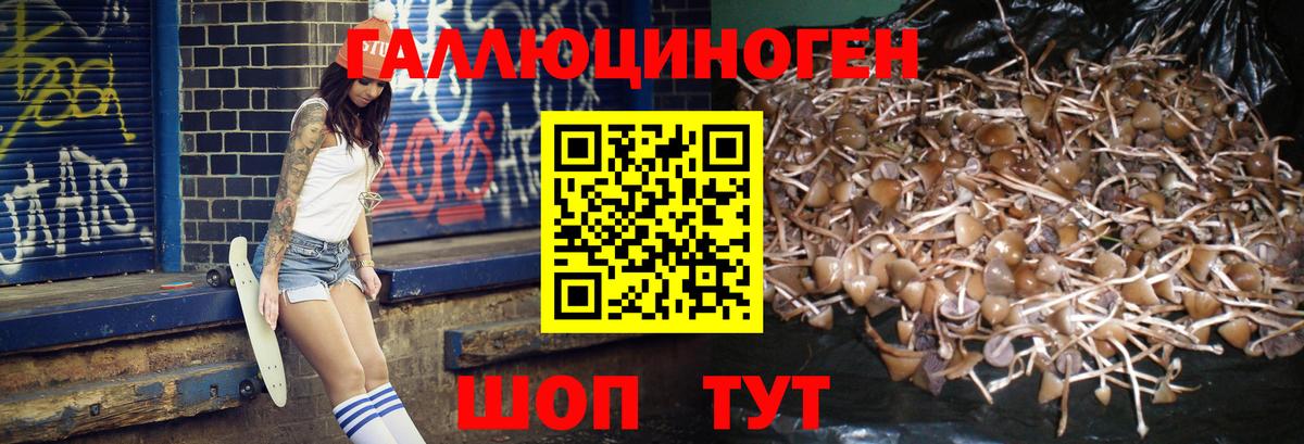 Галлюциногенные грибы Magic Shrooms  Вход с VPN  купить закладку  Орехово-Зуево  Галлюциногенные грибы Psilocybe 
